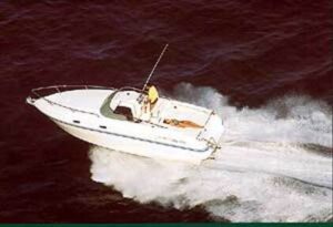 Fiart 27 Cabin