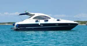 Fiart 38 Genius