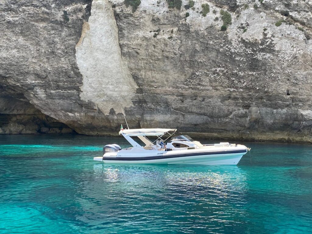 Salpa Soleil 33