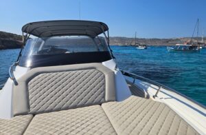 Salpa Soleil 33