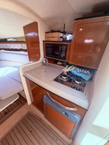 Sea Ray Sundancer 315