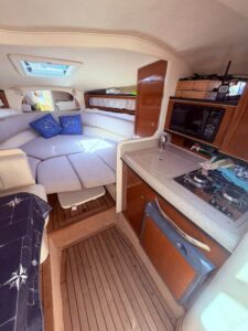 Sea Ray Sundancer 315