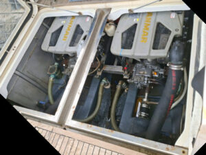 Sessa Dorado 32